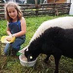 Moosbauerhof * Bad Kleinkirchheim
