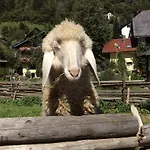 Apartamento Moosbauerhof *
