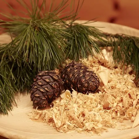 דירה Moosbauerhof