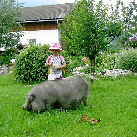 慕斯保尔霍夫公寓 巴德小基希海姆