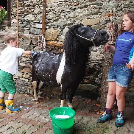 Moosbauerhof * באד קליניקירשהיים