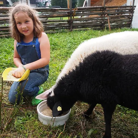 Moosbauerhof * Bad Kleinkirchheim