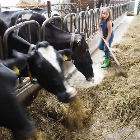 Moosbauerhof דירה