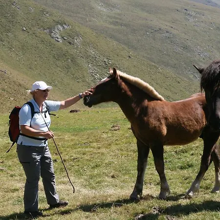 Moosbauerhof דירה באד קליניקירשהיים