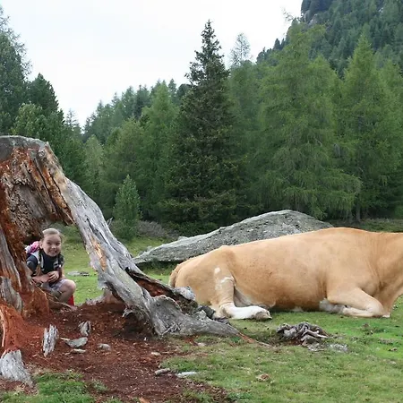 Moosbauerhof דירה *