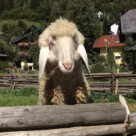 شقة Moosbauerhof *