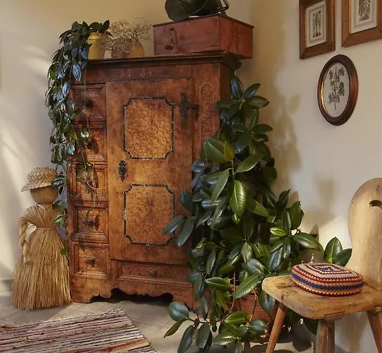 慕斯保尔霍夫公寓 * 巴德小基希海姆