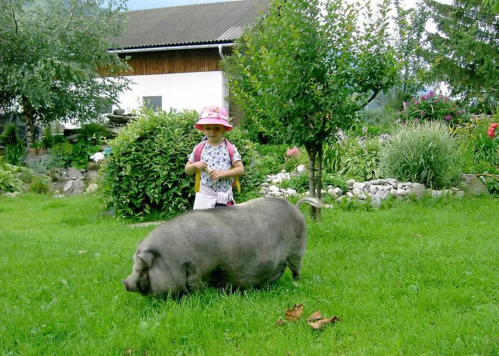 慕斯保尔霍夫公寓 巴德小基希海姆