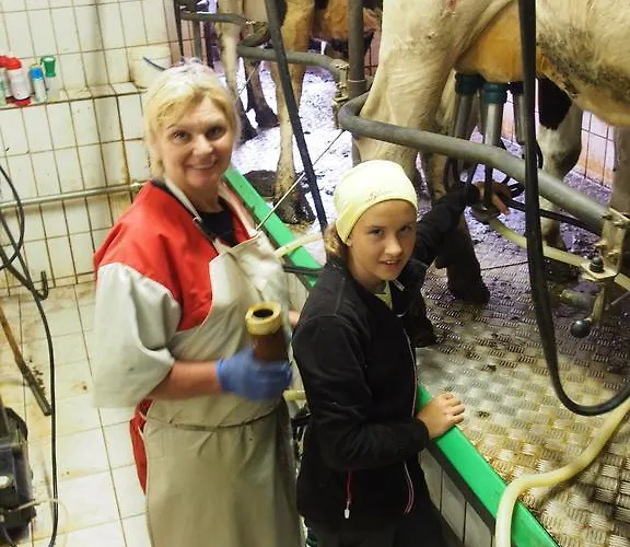 慕斯保尔霍夫公寓 公寓