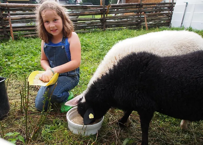 Moosbauerhof * Bad Kleinkirchheim