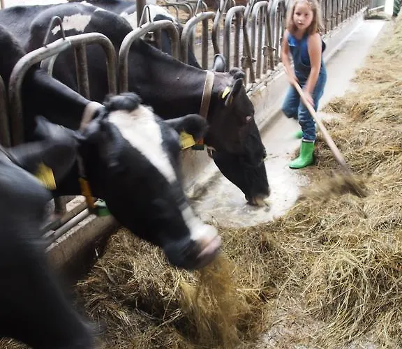 慕斯保尔霍夫公寓 公寓