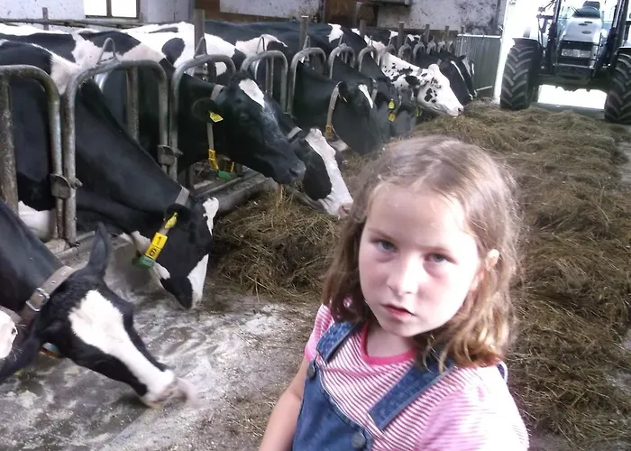 公寓 慕斯保尔霍夫公寓