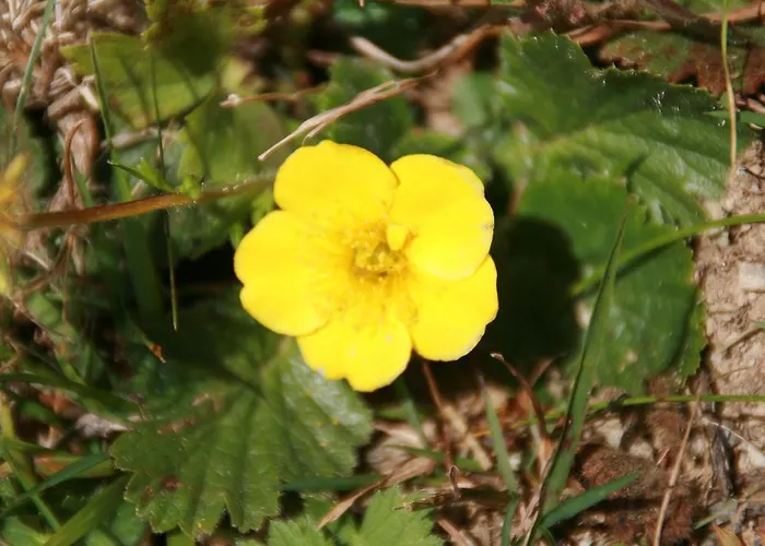 慕斯保尔霍夫公寓 公寓