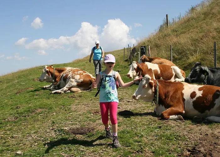 慕斯保尔霍夫公寓 *