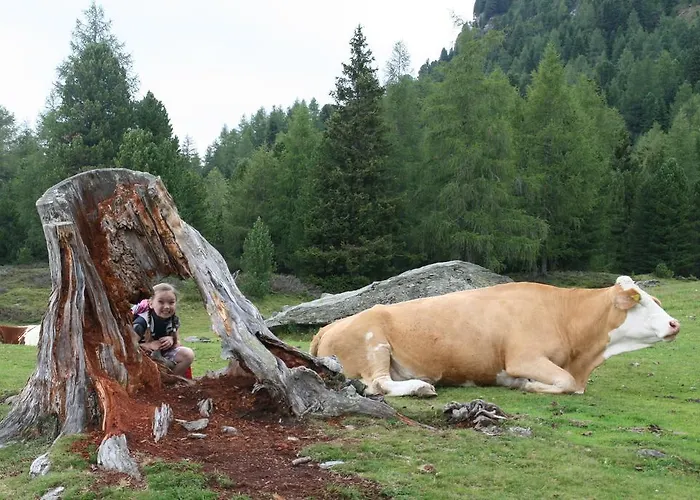 慕斯保尔霍夫公寓 公寓 *
