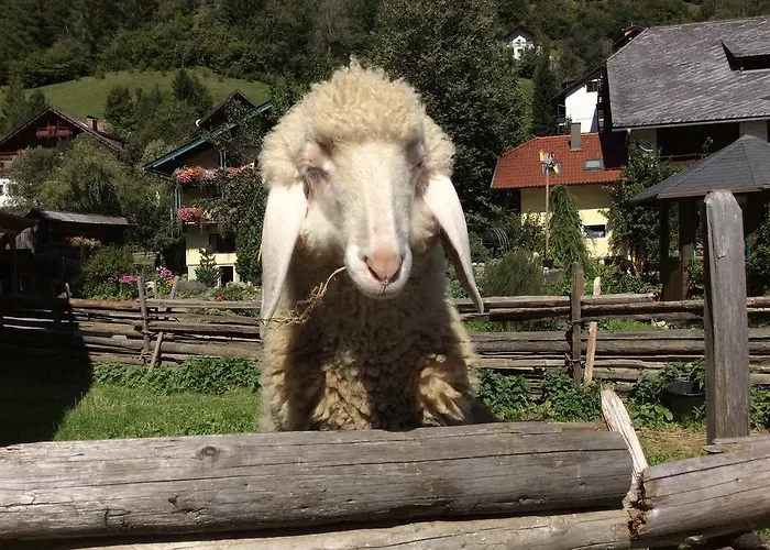 Apartament Moosbauerhof *